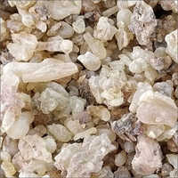 Isas Sallai Gum Guggal