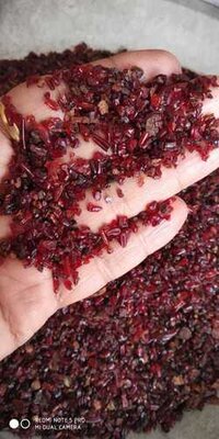 Pure Desi Kamarkas Gum